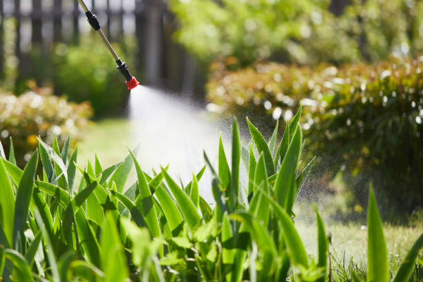 24/7 Emergency Ant Control experts in Franconia, VA